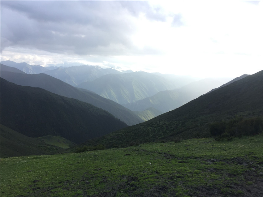 牧場遠眺。.jpg