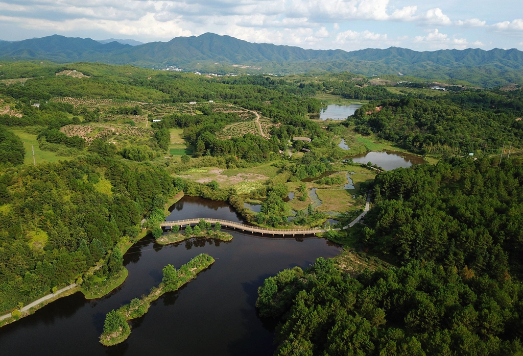 福建省龍巖市長汀縣的長汀汀江國家濕地公園景色（2020年7月28日攝，無人機(jī)照片）。新華社記者 魏培全 攝