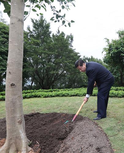 2012年12月7日至11日，習(xí)近平在廣東省考察工作。這是8日上午，習(xí)近平在深圳蓮花山公園種下一棵高山榕樹。新華社記者 蘭紅光 攝