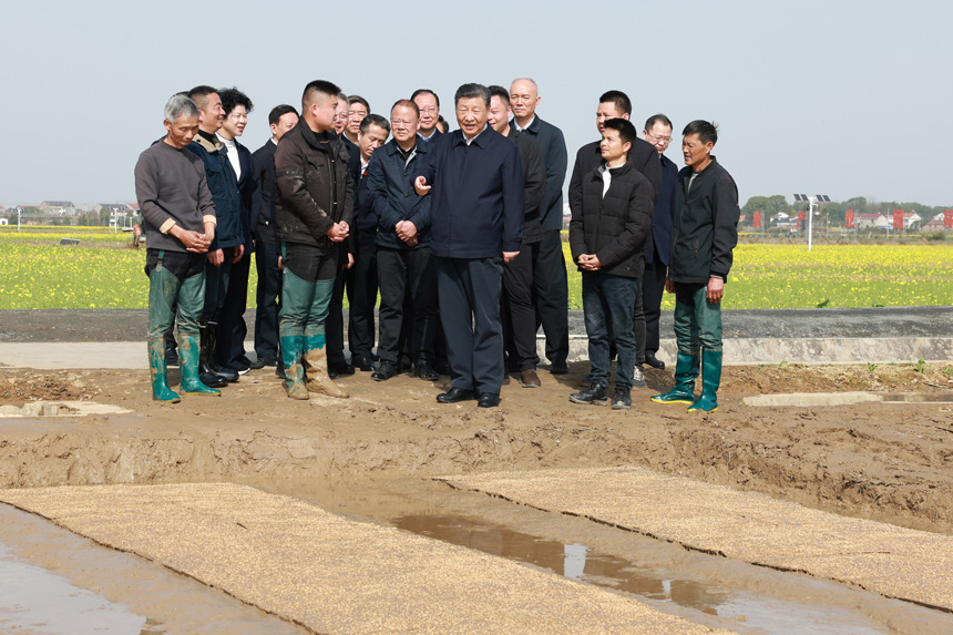 2024年3月18日至21日，中共中央總書記、國家主席、中央軍委主席習(xí)近平在湖南考察。這是19日下午，習(xí)近平在常德市鼎城區(qū)謝家鋪鎮(zhèn)港中坪村走進(jìn)田間，察看秧苗培育和春耕備耕進(jìn)展。新華社記者 王曄 攝